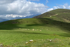 20230520-Stage-Asphalte94-0055