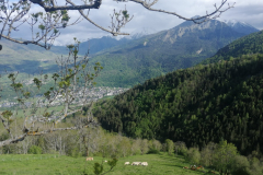 20230520-Stage-Asphalte94-0066