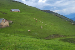 20230520-Stage-Asphalte94-0219