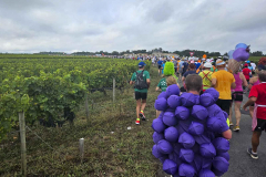 Medoc-2023-12