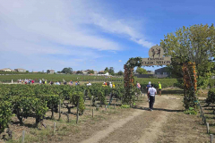 Medoc-2023-37