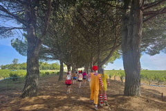 Medoc-2023-43