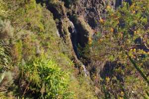 IMG-20231023-WA0011