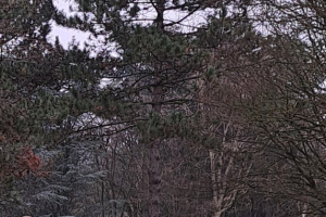 20240114_100400