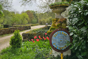 Cheverny-2024-061