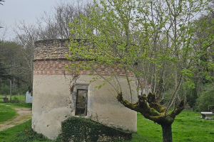 Cheverny-2024-064