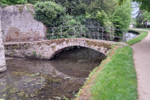 Trail-des-lavoirs-2024-001.HEIC