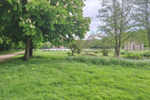 Trail-des-lavoirs-2024-010.HEIC