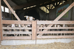 20240518-Stage-Asphalte-Montredon-016