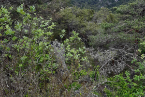 20240526-Stage-Asphalte-Montredon-053