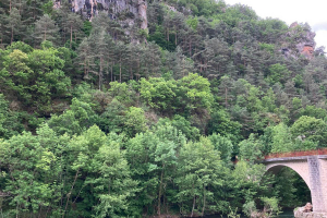 20240526-Stage-Asphalte-Montredon-058
