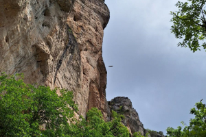 20240526-Stage-Asphalte-Montredon-143
