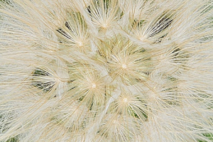 20240526-Stage-Asphalte-Montredon-175