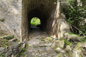 Trail-chaussee-des-geants-2024-008