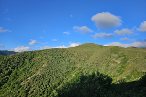Trail-chaussee-des-geants-2024-016