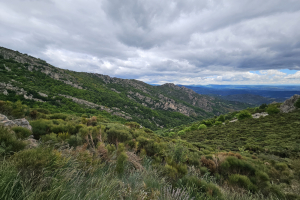 Trail-chaussee-des-geants-2024-021