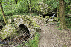 Trail-chaussee-des-geants-2024-024