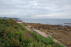 IMG-20240712-WA0084