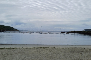 IMG-20240712-WA0091