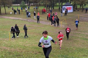 Elisa2