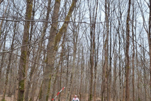 Auffargis_2025-03-16_03