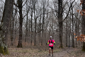 Auffargis_2025-03-16_17