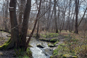 Auffargis_2025-03-16_20