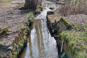 Auffargis_2025-03-16_21