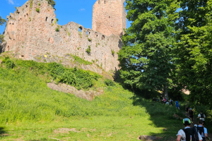 20250518-Trail-des-Celtes-008
