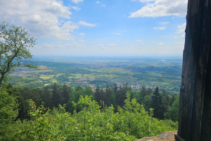20250518-Trail-des-Celtes-009