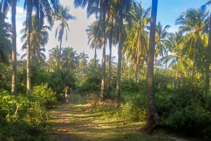 20250803-Trail-Morena-003