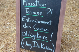 panneau