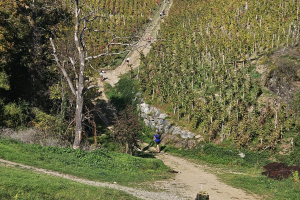 WhatsApp-Image-2025-10-18-a-15.11.21_6edc75b3