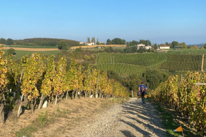 WhatsApp-Image-2025-10-18-a-16.58.06_acde9dd9