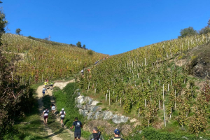 WhatsApp-Image-2025-11-04-a-09.45.41_565d12fb