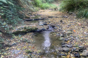 WhatsApp-Image-2025-11-04-a-09.45.42_24a4eb6b