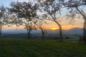 WhatsApp-Image-2025-11-04-a-09.45.42_c4493cce