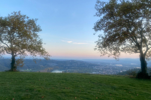 WhatsApp-Image-2025-11-04-a-09.45.42_c5bb8d83