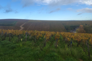 IMG_20251025_101341086_HDR