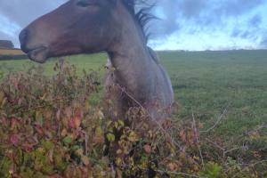 IMG_20251025_102635162_HDR