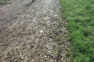 IMG_20251025_122105065_HDR