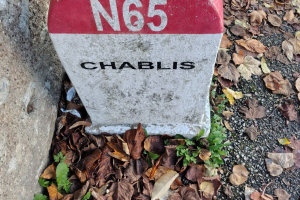 IMG_20251025_154233116_HDR