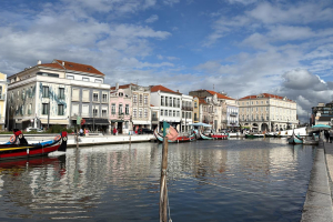 d21ff671-74ff-4532-8ba4-e46be3f5266f