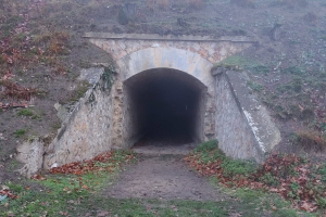 WhatsApp-Image-2025-11-16-a-17.21.50_f1e38d8f