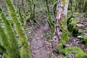 2025.12.07_Hivernale-des-Templiers_008