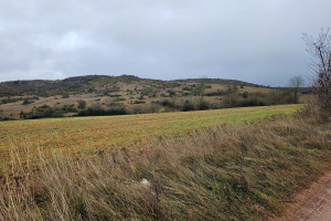 2025.12.07_Hivernale-des-Templiers_017