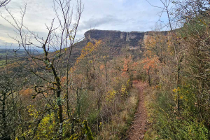 2025.12.07_Hivernale-des-Templiers_023