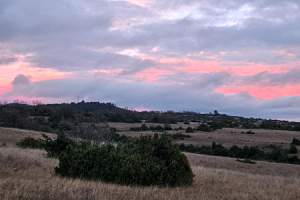 2025.12.07_Hivernale-des-Templiers_029