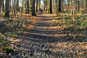 2026.03.15_Auffargis_001