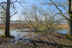 2026.03.21-Eco-trail-Paris_003